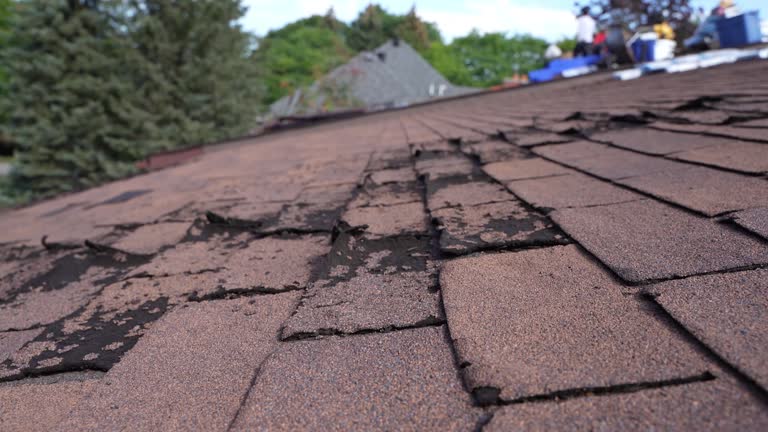 Fast & Reliable Emergency Roof Repairs in Fayetteville, TN